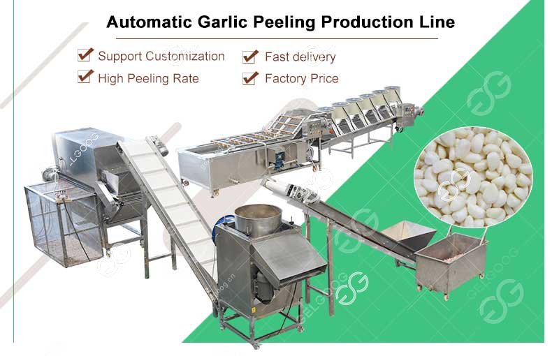 Automatic Garlic Peeling Production Line