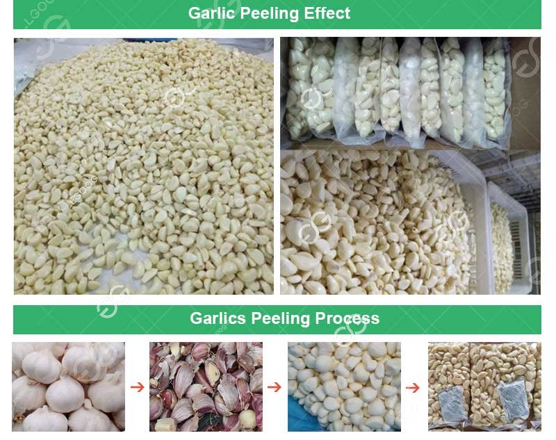Peeling Garlic Line