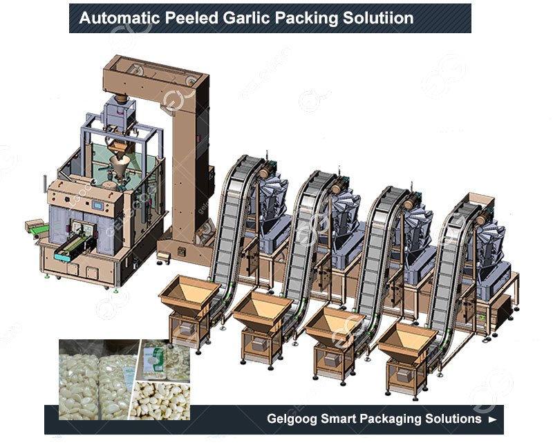 Automtic Garlic Packing Machine