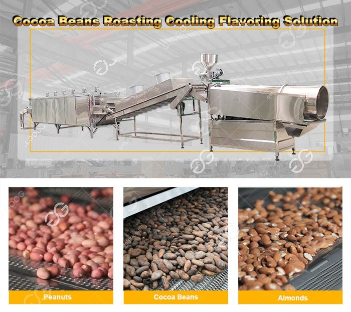 Autoamtic Cocoa Bean Roasting Machine