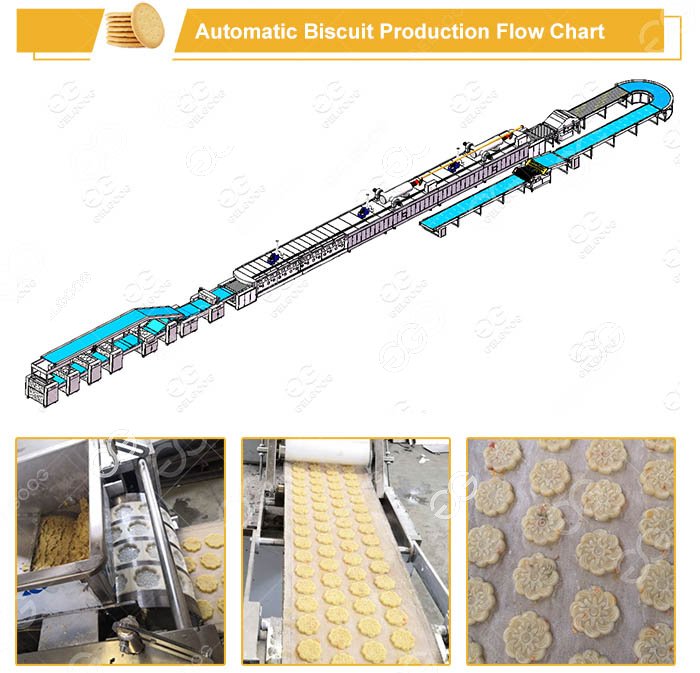 Automatic Machine for Making Biscuit
