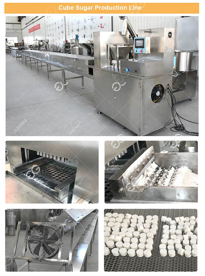 Cube Sugar Machine in Factory