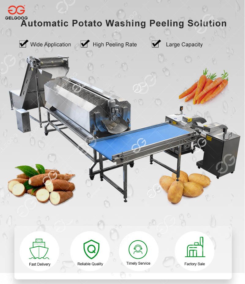 Industrial Potato Washing and Peeling Machine