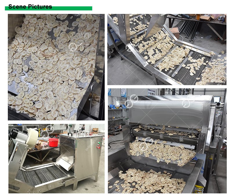 Gelgoog Plantain Chips Processing Machines