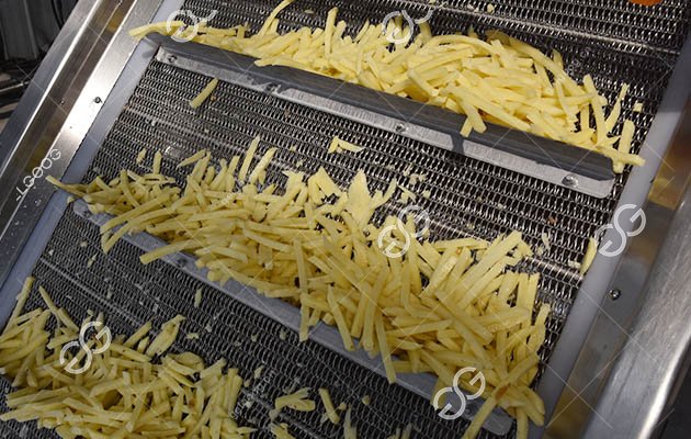 French Fries Production Business
