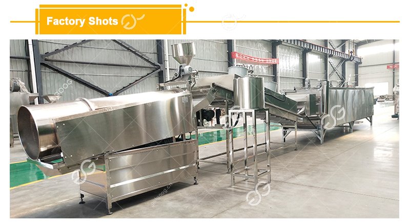 Salted Peanut Processing Equipment