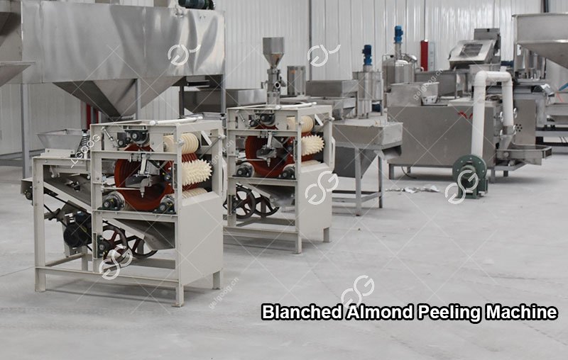 Blanched Almond Peeling Machines
