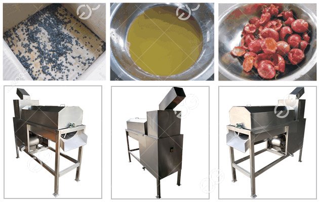 Passion Fruit Juice Making Machine