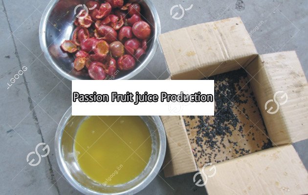 Fruit Juice Processing Machine