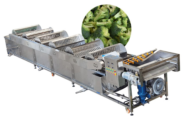 9m Fresh Broccoli Washing Cleaning Machine for Vegetable 