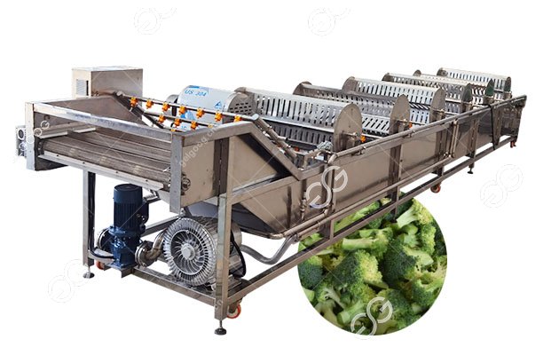 9m Fresh Broccoli Washing Cleaning Machine for Vegetable 