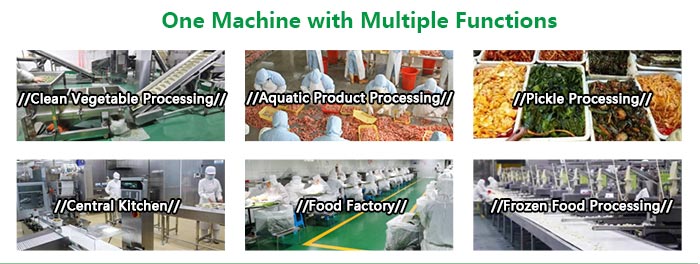 Vegetable Washing Machine Application