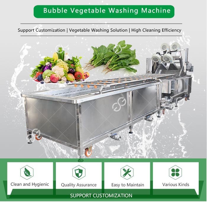 Automatic Strawberry Washing Machine