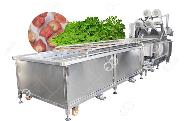 500kg/h Broccoli Washing Machine Industrial