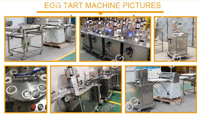 Egg Tart Shell Production Machines