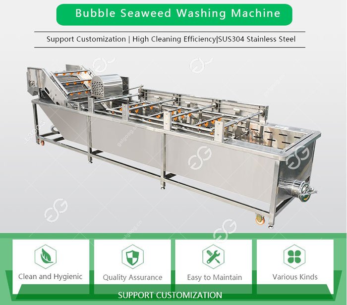 Industrial Seaweed Washing Machine