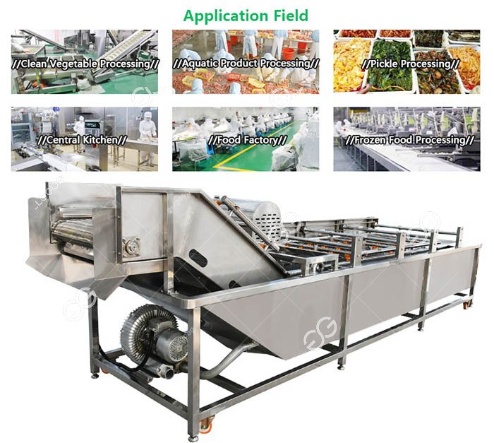 Seaweed Washing Machines Gelgoog
