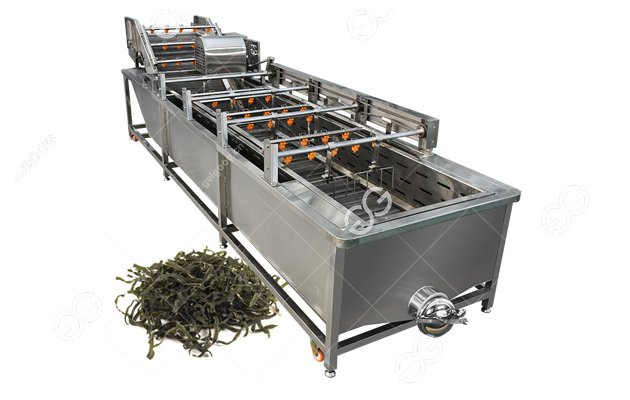 500kg/h Seaweed Washing and Drying Machines